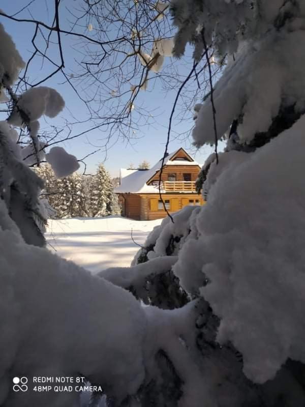 Gosciniec Dziubasowki Villa Нови Тарг Екстериор снимка