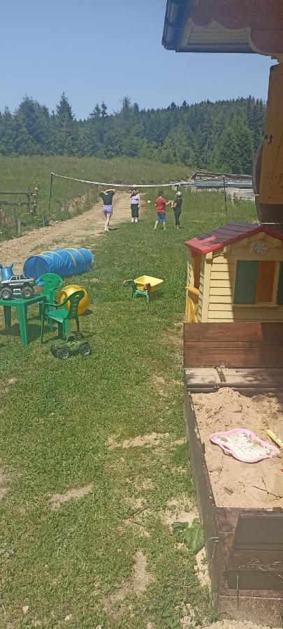 Gosciniec Dziubasowki Villa Нови Тарг Екстериор снимка