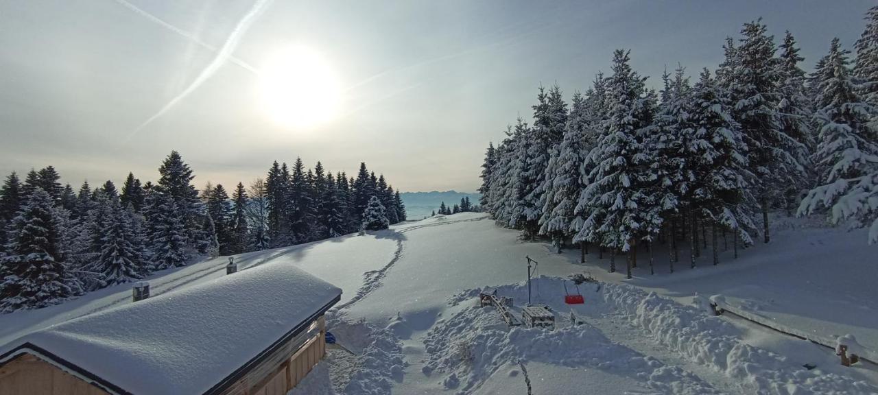 Gosciniec Dziubasowki Villa Нови Тарг Екстериор снимка