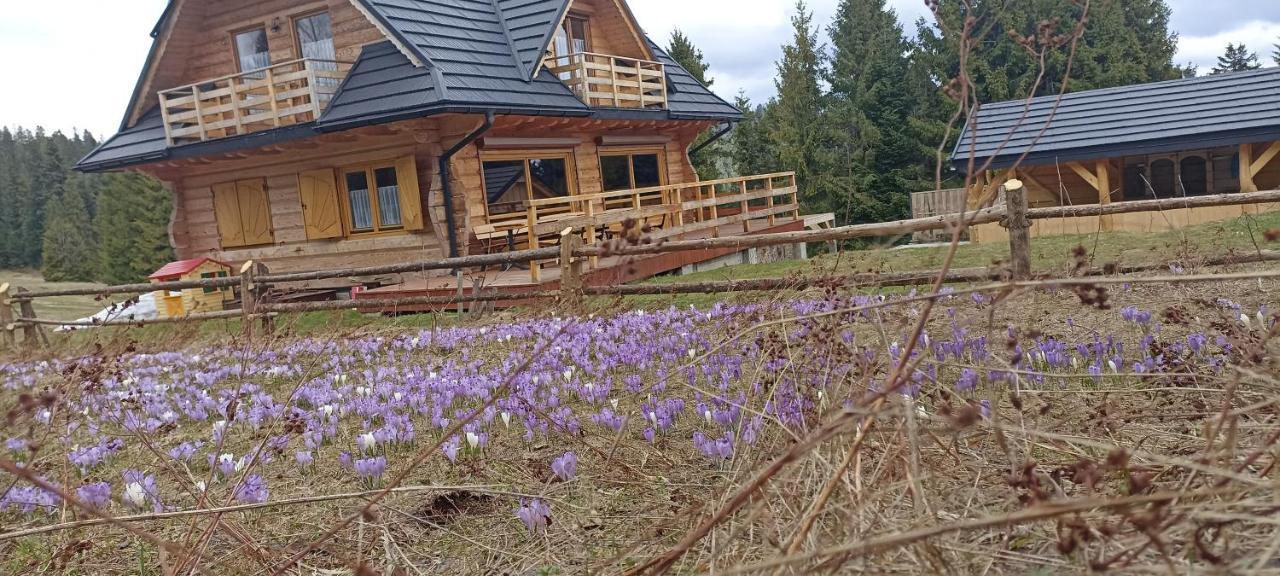 Gosciniec Dziubasowki Villa Нови Тарг Екстериор снимка